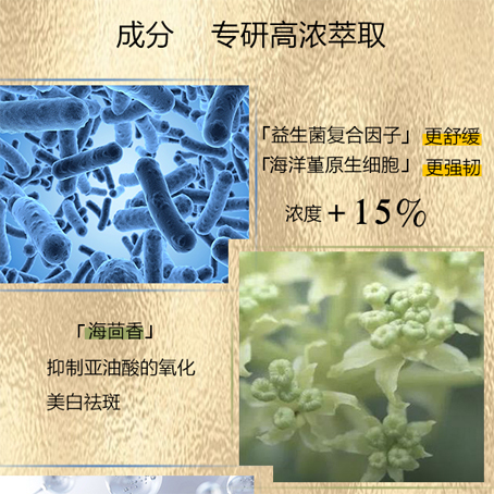 未標題-1
